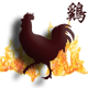 gallo de fuego